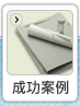 成功案例